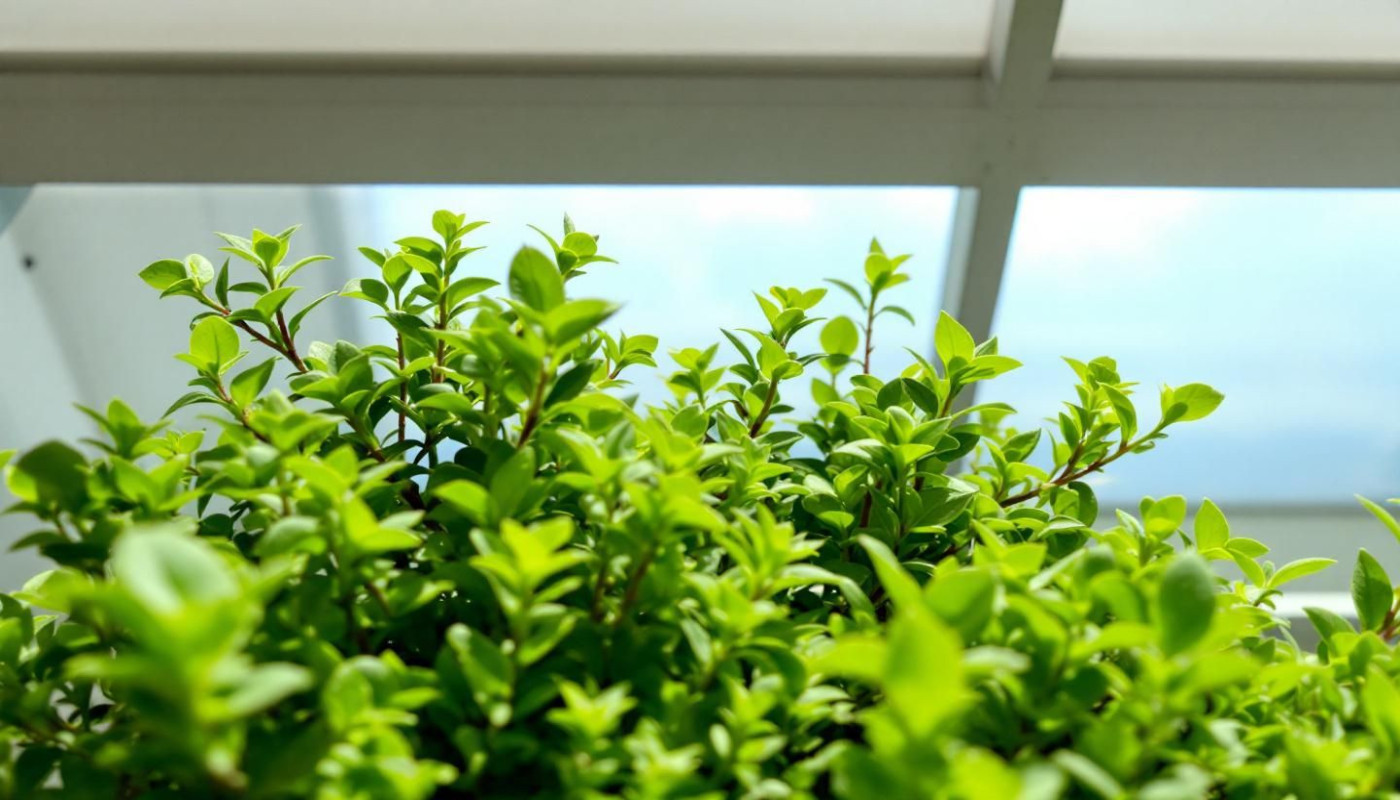 Jardin vertical en intérieur comment créer un havre de verdure